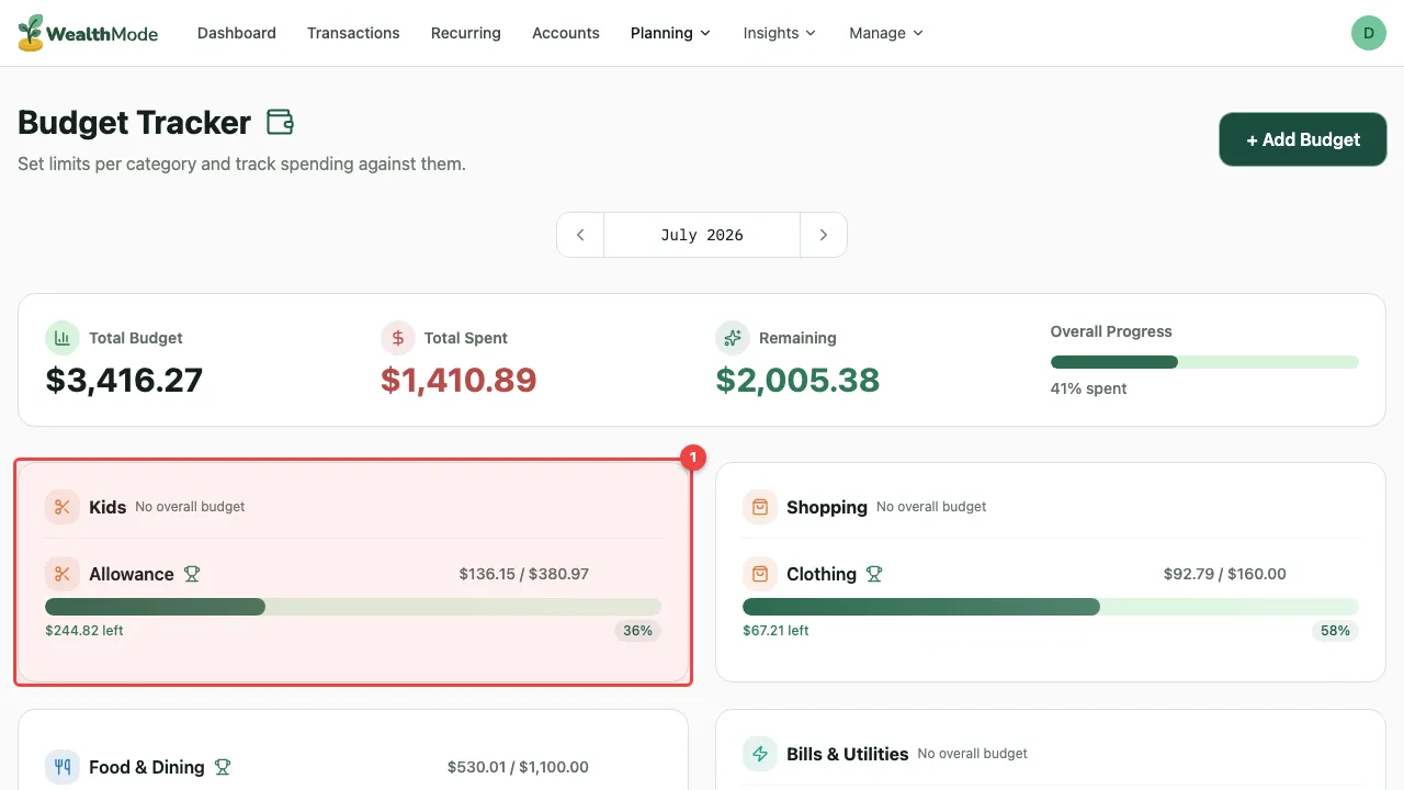 Close-up of a budget category showing the limit input field and a spending progress bar